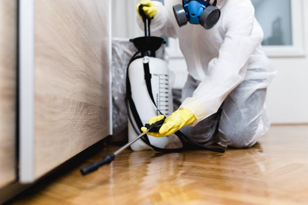 Best Exterminator Services  in Brooklyn, IA