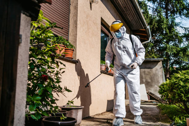 Best Wasp Removal Services  in Brooklyn, IA