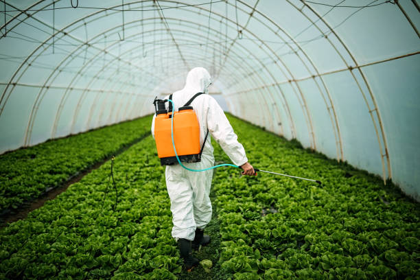 Best Commercial Pest Control Services  in Brooklyn, IA