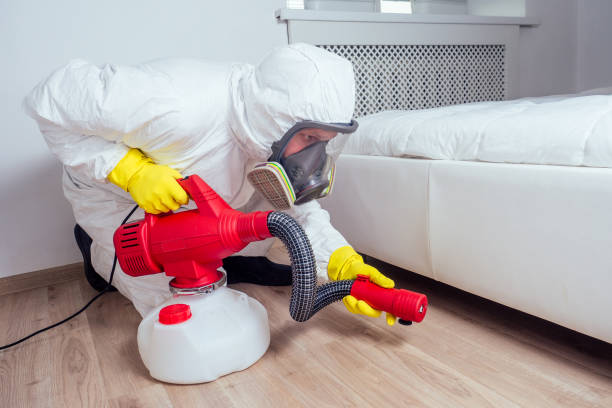 Trusted Brooklyn, IA Pest Control Experts