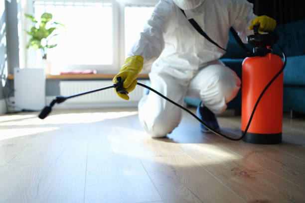 Best Flea Control Services  in Brooklyn, IA