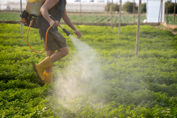 Best Best Pest Control Companies  in Brooklyn, IA