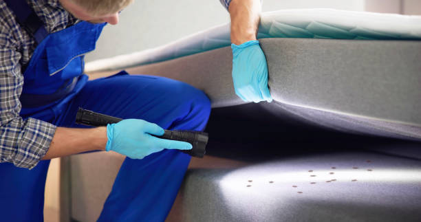 Best Pest Inspection Near Me  in Brooklyn, IA