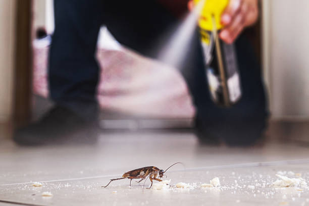 Best Pest Prevention Services  in Brooklyn, IA